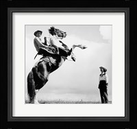 Low angle view of a cowboy riding a bucking horse Fine Art Print