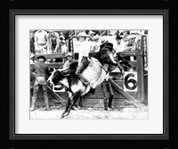 Side profile of a cowboy riding a bull at a rodeo Fine Art Print