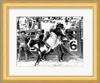 Side profile of a cowboy riding a bull at a rodeo Fine Art Print