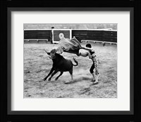 Matador fighting with a bull Fine Art Print