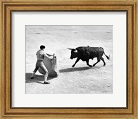High angle view of a bullfighter with a bull in a bullring, Madrid, Spain Fine Art Print