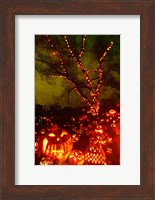 Jack o' lanterns lit up at night, Roger Williams Park Zoo, Providence, Rhode Island, USA Fine Art Print
