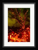 Jack o' lanterns lit up at night, Roger Williams Park Zoo, Providence, Rhode Island, USA Framed Print