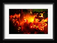 Jack o' lanterns lit up Roger Williams Park Zoo, RI Fine Art Print