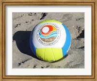 Beach Volleyball Ball Fine Art Print