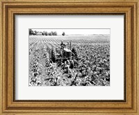Farmer Driving Tractor in Field Fine Art Print