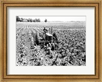 Farmer Driving Tractor in Field Fine Art Print