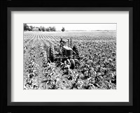 Farmer Driving Tractor in Field Fine Art Print
