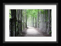 Limbs Fine Art Print