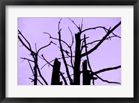 Perched and Sat and Nothing More I Framed Print