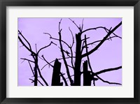 Perched and Sat and Nothing More I Framed Print