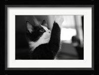 Reach Fine Art Print