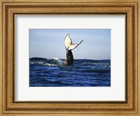 Humpback Whale Tail Above Ocean Waves Fine Art Print