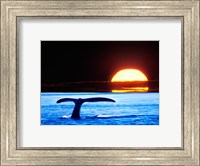 Tail fin of a whale in the sea Fine Art Print