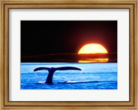 Tail fin of a whale in the sea Fine Art Print