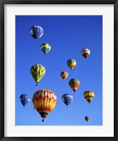 Hot air balloons rising, Albuquerque International Balloon Fiesta Fine Art Print