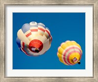 Hot Air Balloons from the Ground Fine Art Print