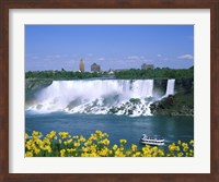 Flowers in front of a waterfall, American Falls, Niagara Falls, New York, USA Fine Art Print