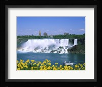 Flowers in front of a waterfall, American Falls, Niagara Falls, New York, USA Fine Art Print
