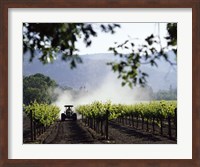 Tractor in a field, Napa Valley, California, USA Fine Art Print