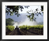 Tractor in a field, Napa Valley, California, USA Fine Art Print