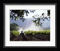 Tractor in a field, Napa Valley, California, USA Framed Print