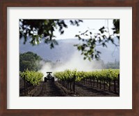 Tractor in a field, Napa Valley, California, USA Fine Art Print