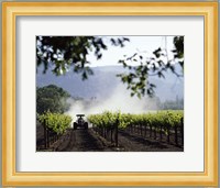 Tractor in a field, Napa Valley, California, USA Fine Art Print