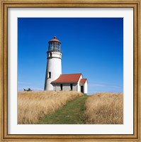 Low angle view of a lighthouse, Cape Blanco Lighthouse, Cape Blanco State Park, Oregon, USA Fine Art Print