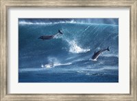 Dolphins Catching A Wave Fine Art Print