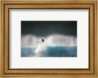 Dolphin breaching in the sea Fine Art Print