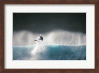 Dolphin breaching in the sea Fine Art Print