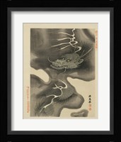 Dragon Fine Art Print