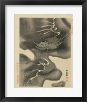 Dragon Fine Art Print