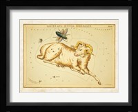 Aires and Musca Borealis Constellation Fine Art Print