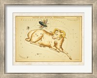 Aires and Musca Borealis Constellation Fine Art Print