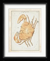 Cancer Zodiac Sign Fine Art Print
