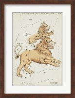 Leo Major and Leo Minor Constellation Fine Art Print