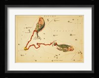 Pisces Zodiac Sign Fine Art Print