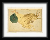 Capricornus Zodiac Sign Framed Print