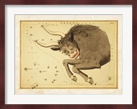Taurus Zodiac Sign Fine Art Print