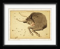 Taurus Zodiac Sign Framed Print