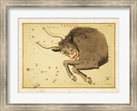 Taurus Zodiac Sign Fine Art Print