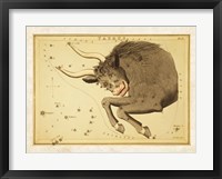 Taurus Zodiac Sign Framed Print