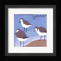 Avian June Fine Art Print