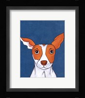 Pet Portraits II Framed Print