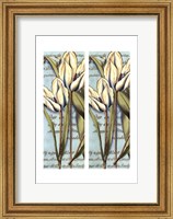 2up French Tulip I Fine Art Print
