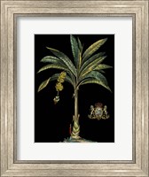 Palm & Crest on Black I Fine Art Print