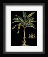 Palm & Crest on Black I Fine Art Print