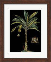 Palm & Crest on Black I Fine Art Print